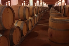 Κτήμα-Άλφα12