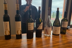 Κτήμα-Άλφα15