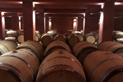 Κτήμα-Άλφα6