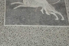 IMG-8f7e9e5b31b1093ca02f39b17ff43cde-V