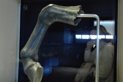 IMG-f32a0e961f8c30a71857fae24068204e-V