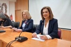 πριν-την-παρουσίαση-μου